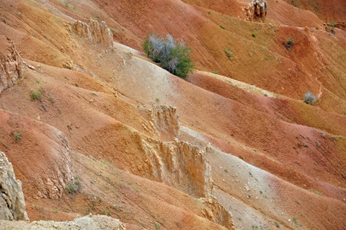 A wide spectrum of color and stone  at Bryce Canyon